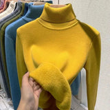 ARGENTO | Caldo maglione invernale a collo alto foderato in pile